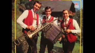 Das Stoakogler Trio  Heut ist Stimmungsabend 1984 [upl. by Noral]