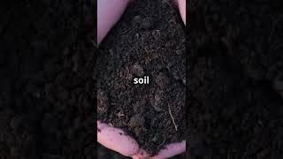 Moon Soil vs Earth Soil Key Differences 2024 shorts [upl. by Enirrok]