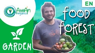 How to Plant a Food Forest  How To Make Your Own Food Forest [upl. by Borgeson]