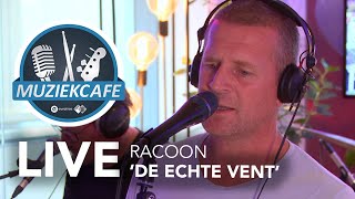 Racoon  De Echte Vent live bij Muziekcafé [upl. by Pronty803]