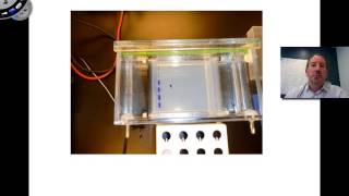 Agarose Gel Electrophoresis [upl. by Pruchno]