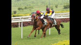 ZUCCARO wins The Western India Trainers Association Trophy Div2 [upl. by Airolg127]