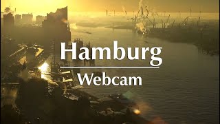 Webcam Hamburg – Goldener Herbstmorgen [upl. by Acirfa]