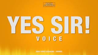 Yes Sir SOUND EFFECT  Male Voice Speaking SFX [upl. by Ataynek]