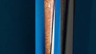 Meucci Originals pool cue  Two points with veneers into BEM Showing the condition of it [upl. by Daas]