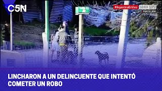 LINCHARON a un DELINCUENTE que INTENTÃ“ cometer un ROBO [upl. by Dnilazor]