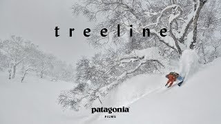 Treeline  The Secret Life of Trees  Patagonia Films [upl. by Caresse]