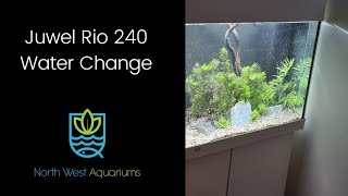 Water change in the juwel rio 240 [upl. by Ahsinrat]