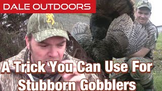 A trick you can use for stubborn gobblers [upl. by Alit]