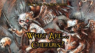 40K Lore For Newcomers  What Are Cherubs  40K Theories [upl. by Ailaro]