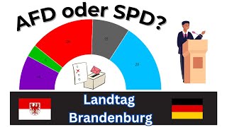 Kampf AFD gegen SPD  Landtagswahl Brandenburg 2024 6 [upl. by Osbourne]