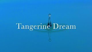 TANGERINE DREAM  RUBYCON 2016 [upl. by May]