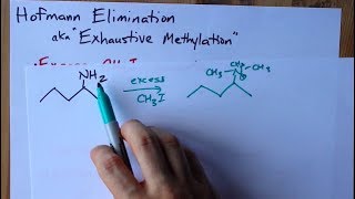 Hofmann Elimination Amine to Alkene aka Exhaustive Methylation [upl. by Chaffin]