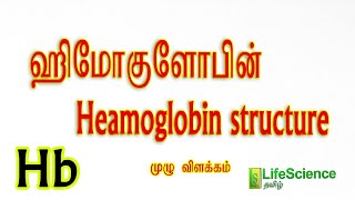 HAEMOGLOBIN STRUCTURE IN TAMIL  LIFESCIENCE TAMIL  TRB ZOOLOGY  TNSET LIFESCIENCE  TNPSC  NEET [upl. by Maisel]