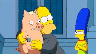 Puerco araña de Homero Los simpsons capitulos completos en español latino [upl. by Bonnes566]