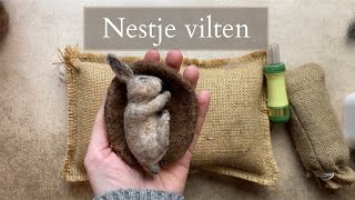 Naaldvilten voor beginners  Nestje of mandje vilten [upl. by Alusru826]