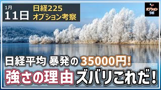 【日経225オプション考察】111 日経平均 暴発の35000円へ！ 強さのワケはズバリこれだ！ [upl. by Oiceladni]