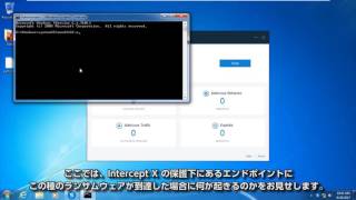 Sophos Intercept X vs Petya ランサムウェア [upl. by Malkah]