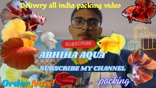 All India Delivery packing video  Betta fish farm  Betta fish breeding  Guppy fish Breeding [upl. by Lauer]