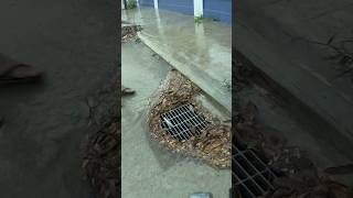 Cleaning Culvert Drain Rain Water unclog remove drain rainwater shorts [upl. by Teragramyram]