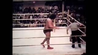 Calgary Stampede Wrestling Battle Royal 1979 [upl. by Rheingold]