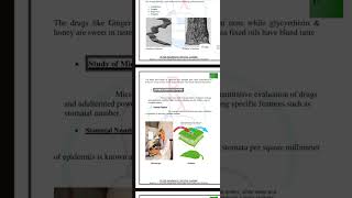 PHARMACOGNOSY LECTURE 10 [upl. by Elkraps]