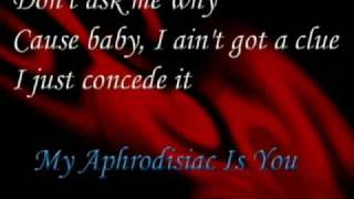 Katie Melua  My Aphrodisiac Is You lyric [upl. by Oludoet]