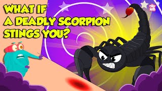 How Does Scorpion Sting  Scorpion Venom Effects  Most Deadliest Scorpions  Dr Binocs Show [upl. by Lledner]