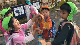 202411月12日 新庄こども園ぷれいすくーるちゅーりっぷ 安佐動物園 [upl. by Imis]