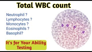 wbc under microscope  wbc count [upl. by Catharina]