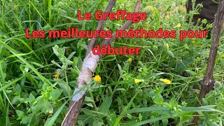 Le greffage les meilleures methodes pour débuter [upl. by Lon746]