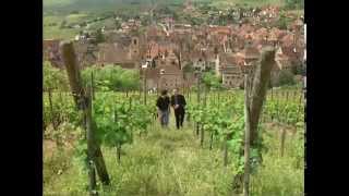 Discover the Wines of Alsace [upl. by Noirod]