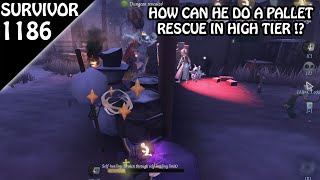 Pallet Rescue still exist in Champion Tier   Survivor Rank 1186 Identity v [upl. by Carlyn993]