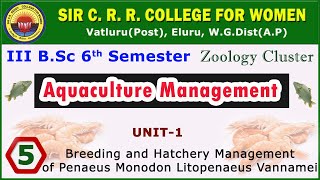 5 BSc 36 Aquaculture Management Breeding amp Hatchery Mgmt of Penaeus Monodon Litopenaeus Vannamei [upl. by Nnylrats314]