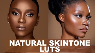 The Best Skin Tone LUTs For Dark Skin [upl. by Atiuqnahs]