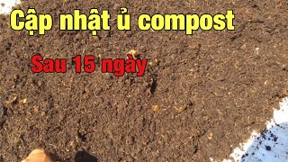 Sau 15 ngày ủ phân compost từ rau quả [upl. by Fari]