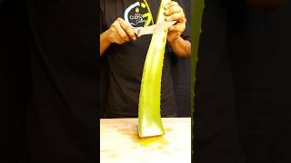 Aloe vera juice recipe drink shorts aloevera [upl. by Ydnem]