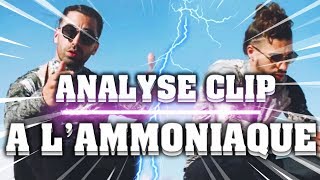 ANALYSE CRITIQUE 6  PNL À LAMMONIAQUE [upl. by Eelyram]