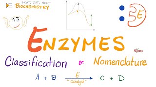 Enzymes Nomenclature and Classifications  Names and Types  Biochemistry 🧪 [upl. by Aennaej]