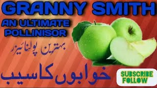 Best Pollinizer🍏Granny Smith Challenger 🍏🍏 [upl. by Federico]