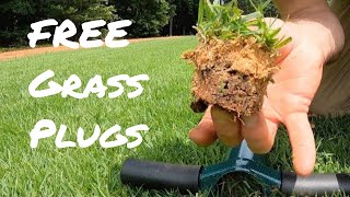 How to Plant Lawn From Plugs  ProPlugger  DIY Grass Plugs  Zenith Zoysia Grass Plugs [upl. by Aihtnys592]