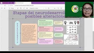 ETAPAS DEL NEURODESARROLLO [upl. by Innavoj]