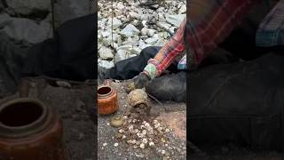 We found a treasure of immeasurable value trapped inside the castle wall 😱  metaldetecting shorts [upl. by Eirrac880]