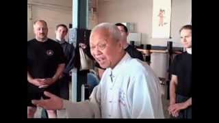 Master Chen Qing Zhou Calligraphy and Tai Chi Practice part 14 [upl. by Eseerahs]