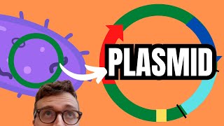 PLASMIDS EXPLAINED [upl. by Aira344]