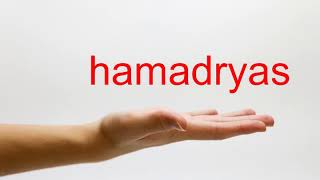 How to Pronounce hamadryas  American English [upl. by Itin149]