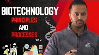 Restriction Endonuclease हिंदी में Full Concept Biotechnology principles and processes Part 2 [upl. by Rosati]