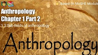 Anthropology Chapter 1  Part 2   Subfields of anthropology [upl. by Kristina]