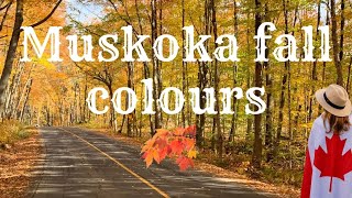 Visit to Muskoka ON for Fall Color [upl. by Joo858]