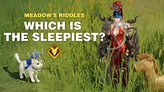 Lost Ark Meadows Riddles  Which is the Sleepiest [upl. by Aihsened]